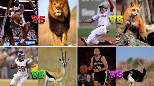 After "Man vs. Cheetah," Four More (Imaginary) Athlete-Animal Races
